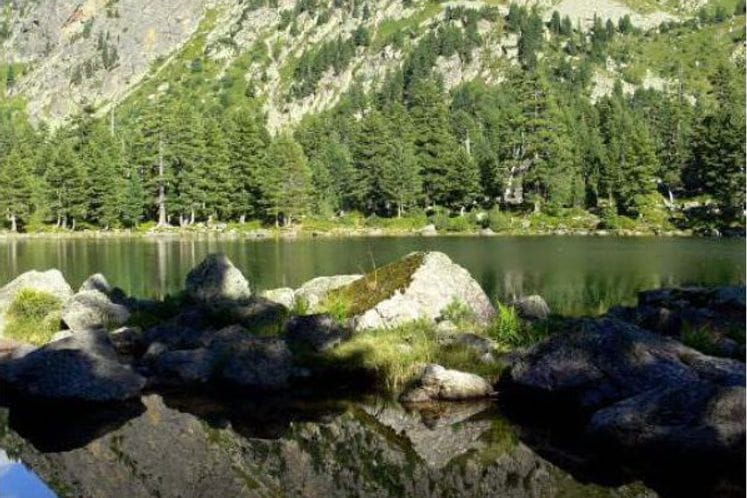 Vlada usvojila Četvrti nacionalni izvještaj o implementaciji Konvencije o biološkoj raznovrsnosti u Crnoj Gori