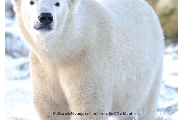 EKOLOGIJA (Pobjeda, Decembar 2010. godine)