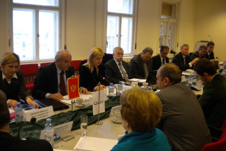 Saopštenje: Dan Crne Gore u Energetskoj zajednici