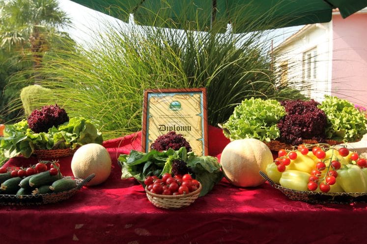 Spisak korisnika podrške po osnovu prvog ovogodišnjeg Javnog poziva za podrsku investicijama u poljoprivredi