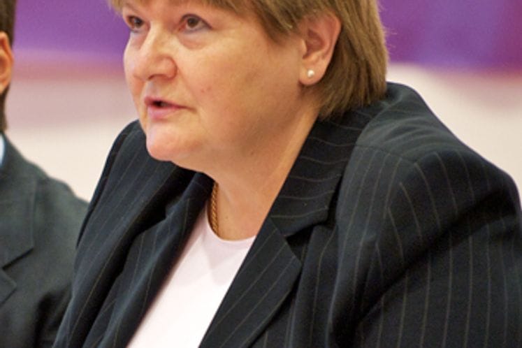 Izlaganje direktora CEF-a, Mire Dobovišek