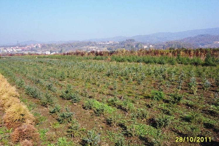 Saopštenje: U okviru IPA–YUG/812 “Podrška razvoju kapaciteta u sektoru šumarstva” trening program, odnosno obuka polaznika izvedena je u Srbiji i Crnoj Gori, u ukupnom trajanju od 8 dana.