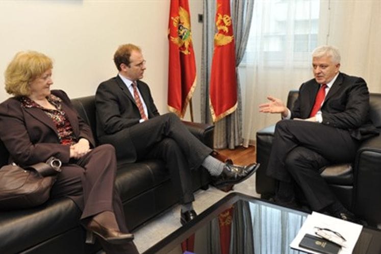 Susret Marković - Fern