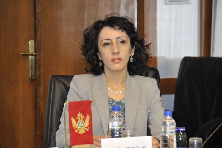 Izlaganje pomoćnika ministra za finansiranje i ugovaranje sredstava EU pomoći, Nataše Kovačević