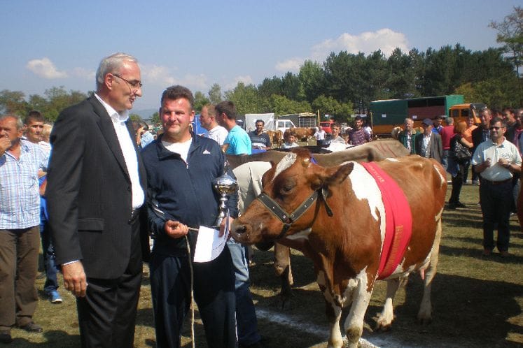 Saopštenje: Održana Šesta regionalna izložba priplodne stoke “Polimlje 2011” u Beranama