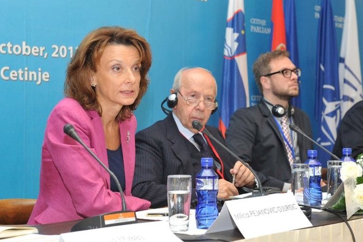 Izlaganje ministra odbrane prof. dr Milice Pejanović-Đurišić odbrane na panelu: „Izgledi i opcije proširenja NATO na Zapadni Balkan“