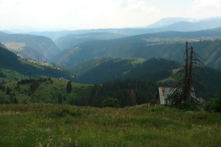 Poziv za javnu raspravu o Izvještaju o strateškoj procjeni uticaja na životnu sredinu za Strategiju sa planom razvoja šuma i šumarstva Crne Gore