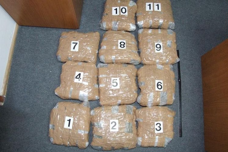 Međunarodna policijska akcija „Linija“ – za krijumčarenja skanka na organizovan način osumnjičeno osam lica