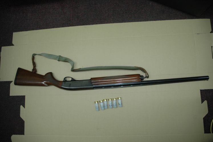 Rasvijetljena upotreba vatrenog oružja u Mojdežu