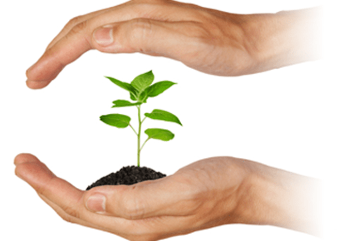 Najava: Radionica ”Pravilna upotreba sredstava za zaštitu bilja“