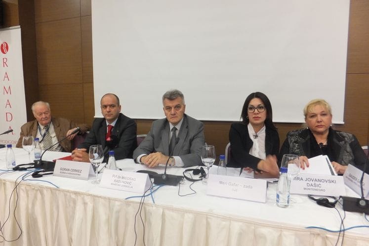 Ministar Radunović otvorio inicijalni Regionalni sastanak Savjeta Evrope o modelu platforme informisanosti građana o pravima na zdravstvenu zaštitu.