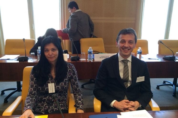 SAOPŠTENJE: Održane sjednice upravljačkih tijela Regionalnog stambenog programa