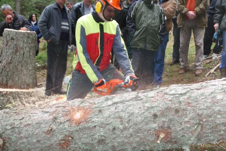 Najava: Nastavlja se obuka trenera za savjetovanje u šumarstvu i organizuje se novi set obuka interesnih grupa od strane trenera za savjetovanje iz Uprave za šume