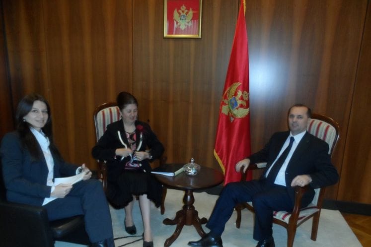 Ministar za ljudska i manjinska prava razgovarao je danas sa Njenom ekselencijom Nafsike Chr. Krousti, ambasadorkom Republike Kipar