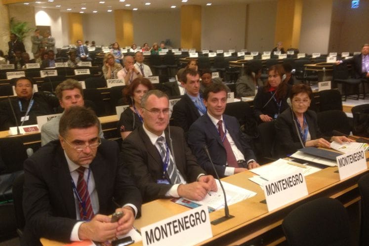 Ministar rada i socijalnog staranja mr Predrag Bošković učestvovao na konfrenciji Međunarodne organizacije rada u Ženevi