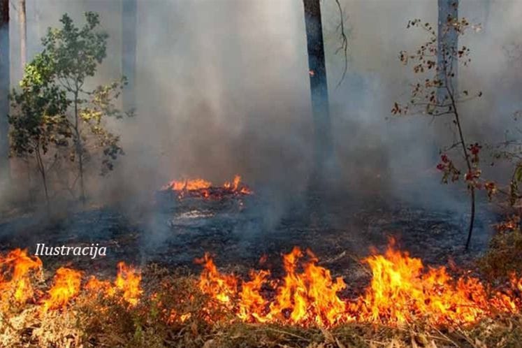 Osumnjičen za KD izazivanje opšte opasnosti