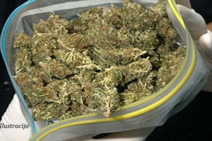 Zaplijenjene opojne droge heroin i skank