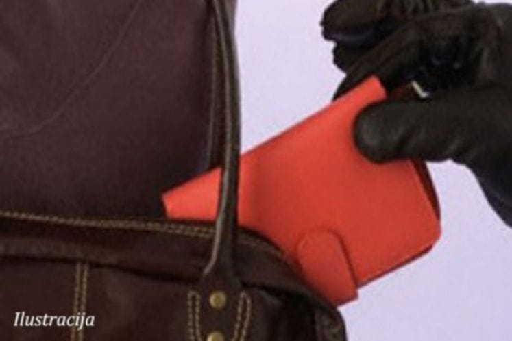 U Herceg Novom rasvijetljeno deset krivičnih djela protiv imovine