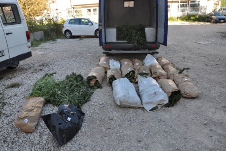 Otkriveni zasadi marihuane – jedno lice lišeno slobode