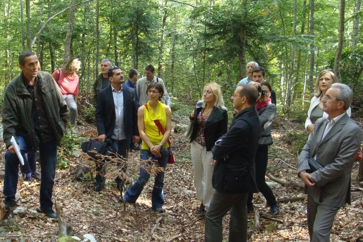 Saopštenje: Obilježen završetak projekta “Podrška za izgradnju kapaciteta u sektoru šumarstva“