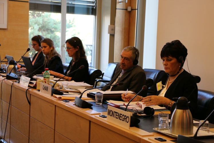 Predstavljen Inicijalni izvještaj Crne Gore o implementaciji Međunarodnog pakta o građanskim i političkim pravima na 112. Zasijedanju Komiteta Ujedinjenih nacija za prava čovjeka, Ženeva