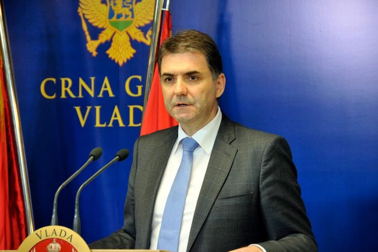 Vlada usvojila Informaciju o aktivnostima MPRR na sprječavanju bolesti "plavi jezik"