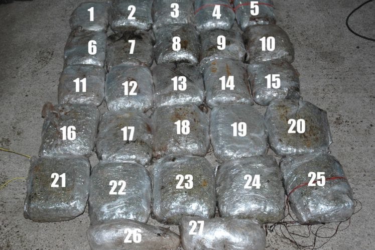 Zaplijenjeno oko 25 kilograma skanka