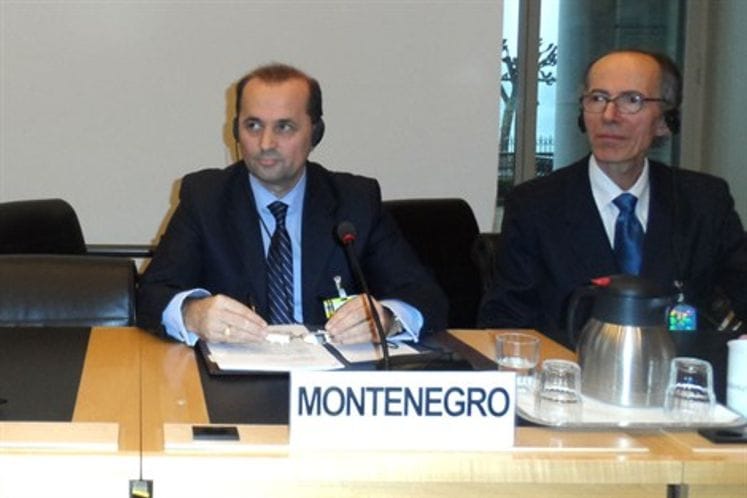 UN CERD's meeting in Geneva: Montenegro sets example for other countries regarding respects for human rights