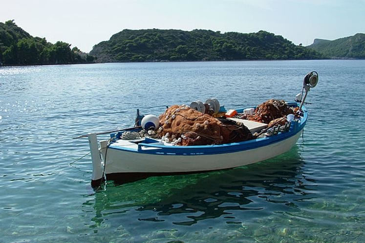 Oglas za izdavanje dozvola za obavljanje velikog i malog privrednog ribolova