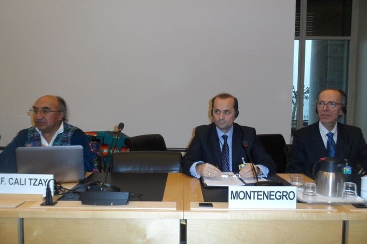 U Ženevi predstavljen Drugi i Treći izvještaj o sprovođenju Konvencije o zabrani svih oblika rasne diskriminacije