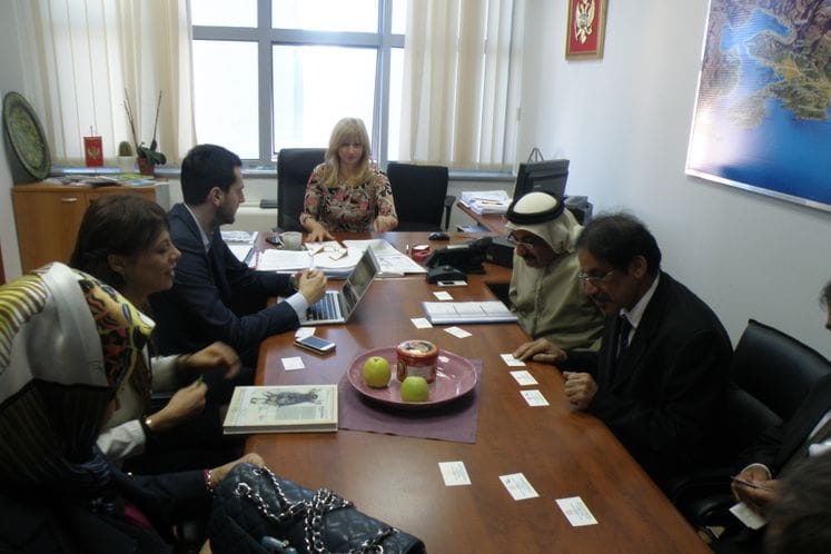 Saopštenje: Delegacija Ujedinjenih Arapskih Emirata izrazila interesovanje za investiranje