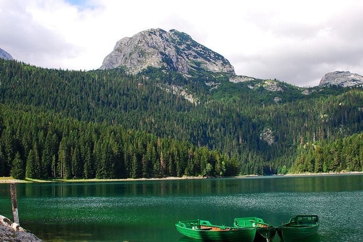 Čestitka ministra Ivanovića povodom 21. marta, Svjetskog dana šuma