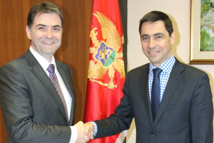 Saopštenje: Podrška Međunarodnog savjeta za masline crnogorskom maslinarstvu