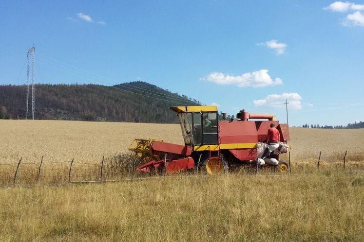 Saopštenje: Za proljećnju sjetvu ratarskih kultura zahtjeve dostaviti do 1. juna