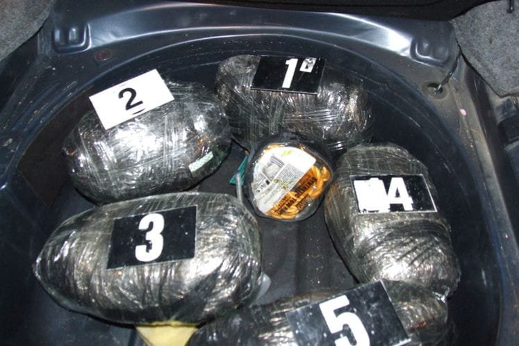 Na graničnom prelazu Kula zaplijenjen skank