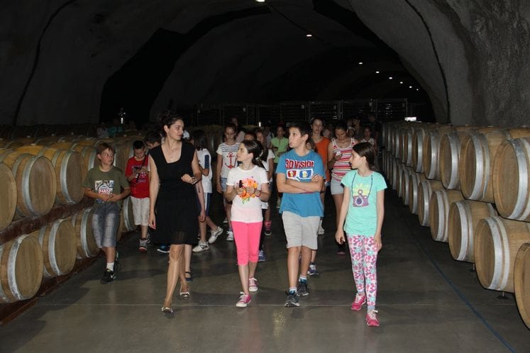 Saopštenje: Osnovci iz Nikšića u „Plantažama“ naučili više o proizvodnji grožđa i vina