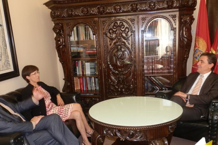 SAOPŠTENJE: Ministar Žugić primio u posjetu ambasadorku Češke Republike