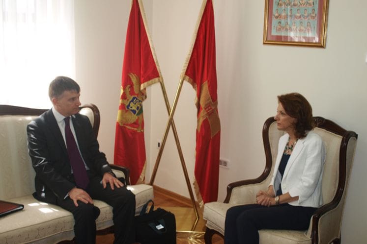 Ministar Pejanović-Đurišić sastala se sa direktorom Direktorata za Zapadni Balkan i proširenje EU Oven Dženkinsom