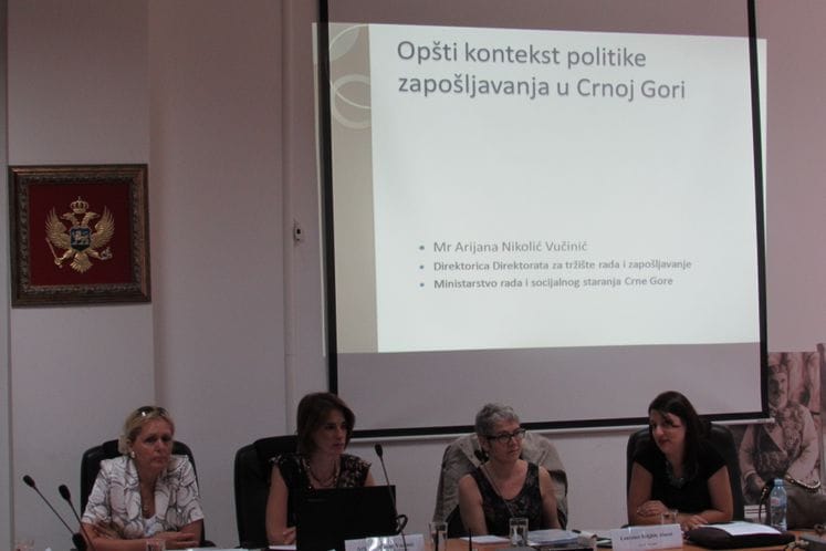 Održan seminar “Institucionalna pomoć pri izradi programa -uključivanje mladih sa diplomom”