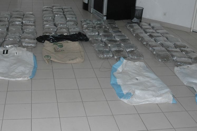 Zaplijenjeno oko sto kilograma skanka u Milješu