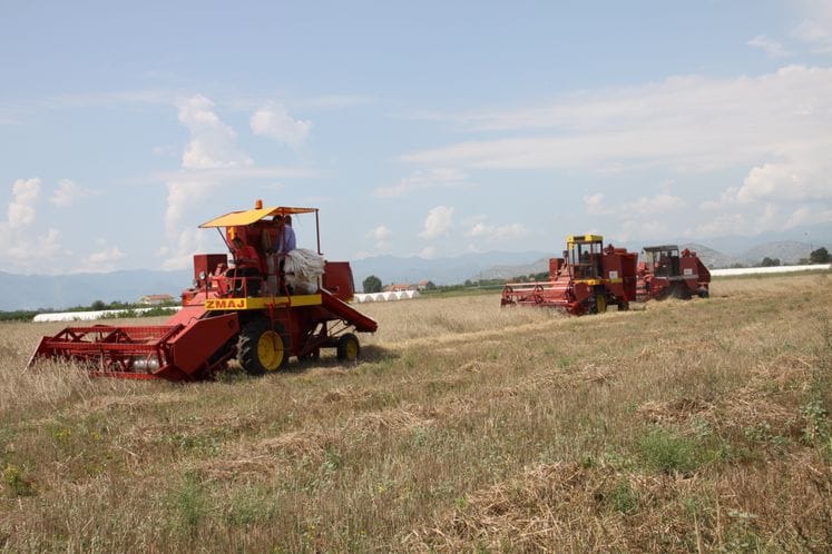 Saopštenje: Žetva pšenice u opštini Podgorica privodi se kraju