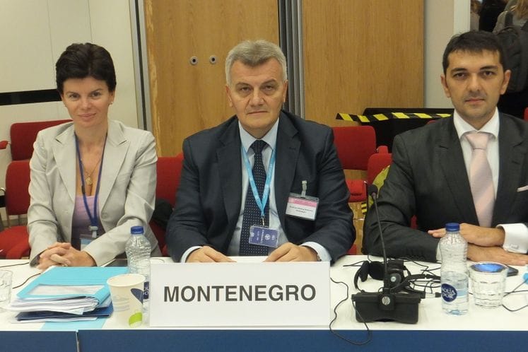 SAOPŠTENJE: Ministar Radunović u Kopenhagenu istakao potrebu daljeg razvijanja veze izmedju zdravlja i inkluzivnog razvoja