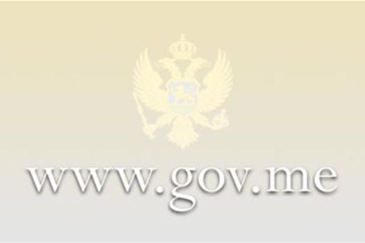 Odluka o izboru kandidata/kinje za člana/icu Radne grupe za izradu Strategije za zaštitu lica sa invaliditetom od diskriminacije i promociju jednakosti za period 2017-2021.