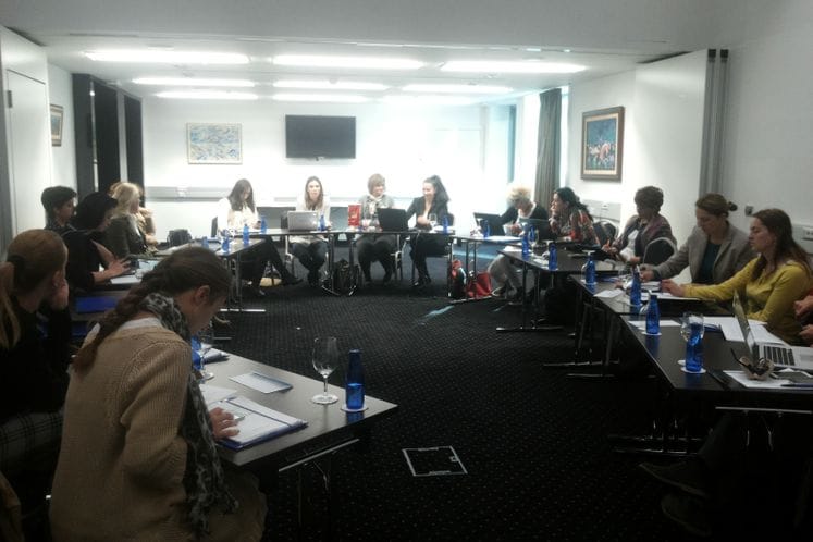 Održan seminar na temu praćenja implementacije Zakona i preporuka CEDAW Komiteta Ujedinjenih nacija