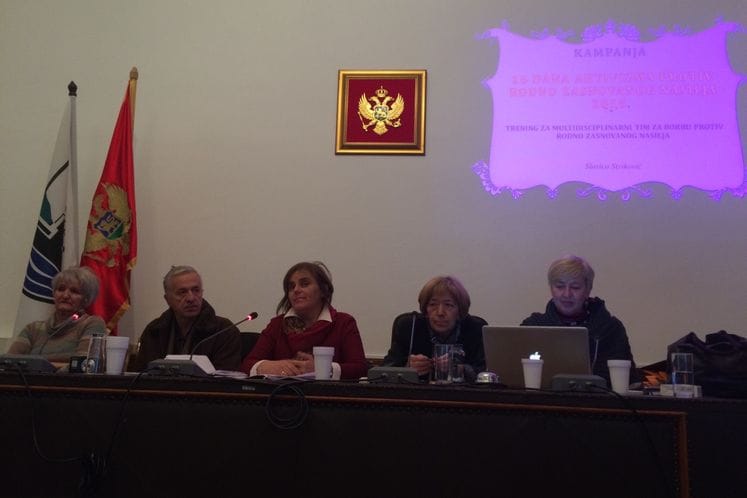 Dvodnevni trening za multidisciplinarni tim u opštini Berane