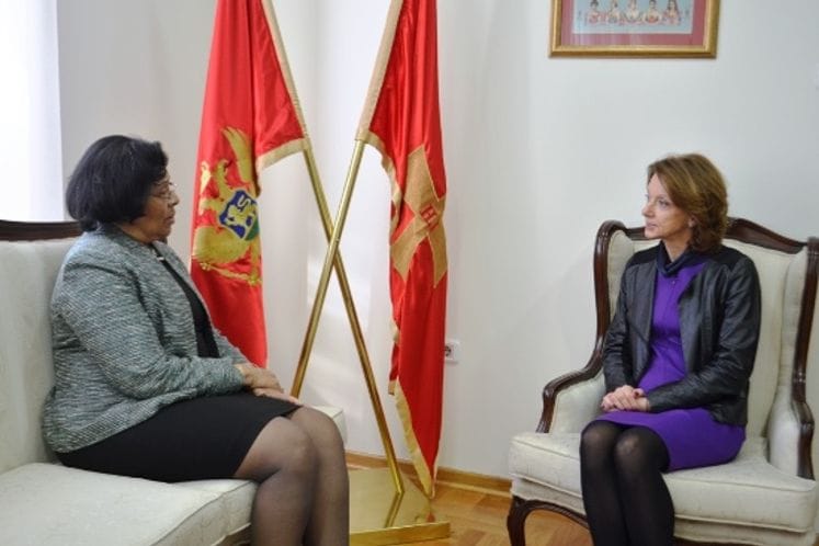 Ministar odbrane primila ambasadorku Sju Kej Braun u oproštajnu posjetu