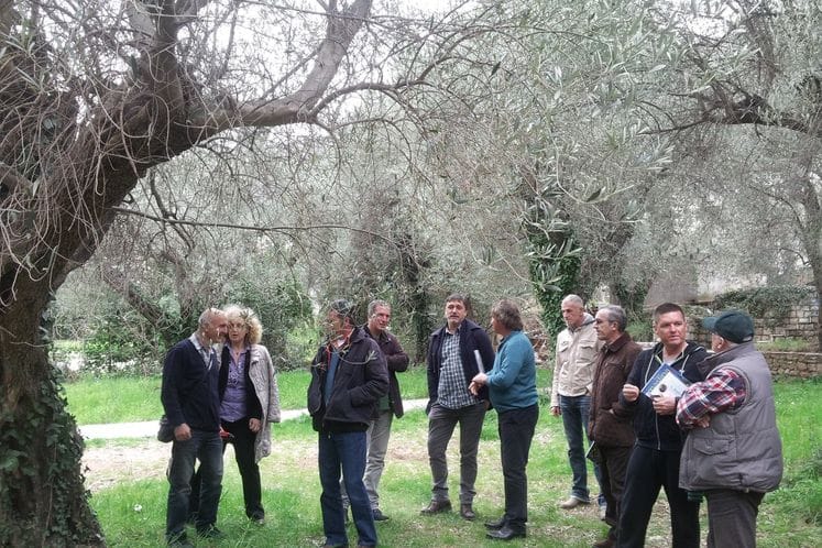 Saopštenje: Predstavnici Ministarstva učestvovali na radionici za maslinare iz Budve, Ulcinja i Bara