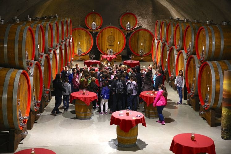 Saopštenje: Učenici OŠ „Olga Golović“ iz Nikšića obišli kompaniju Plantaže