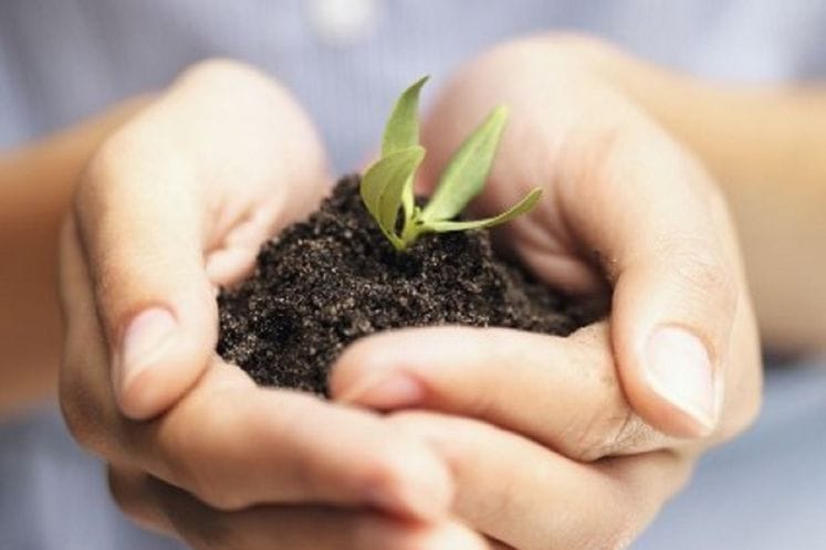 MPRR se pridružilo kampanji FAO - 2015. godina označena kao godina zemljišta