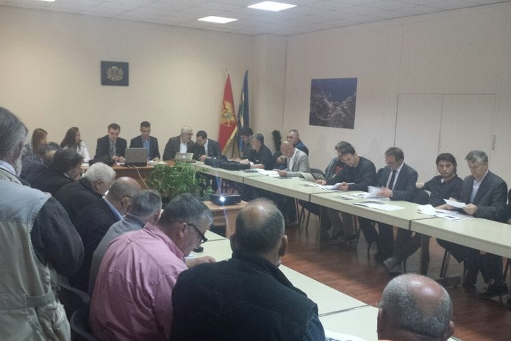 Saopštenje: Neke od maslina stare i više od 2.000 godina